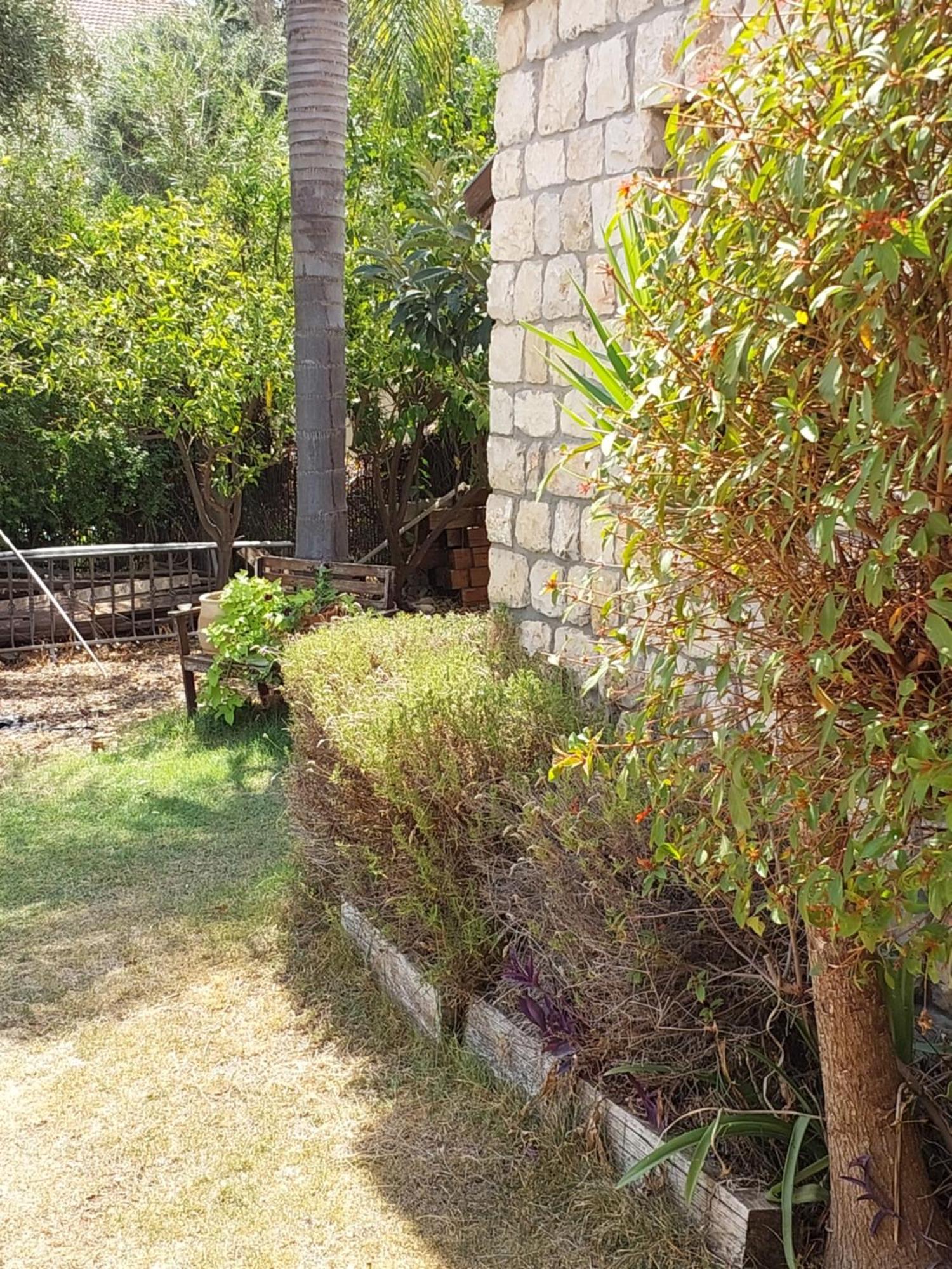 Neve Nof Apartamento Rosh Pinna Quarto foto