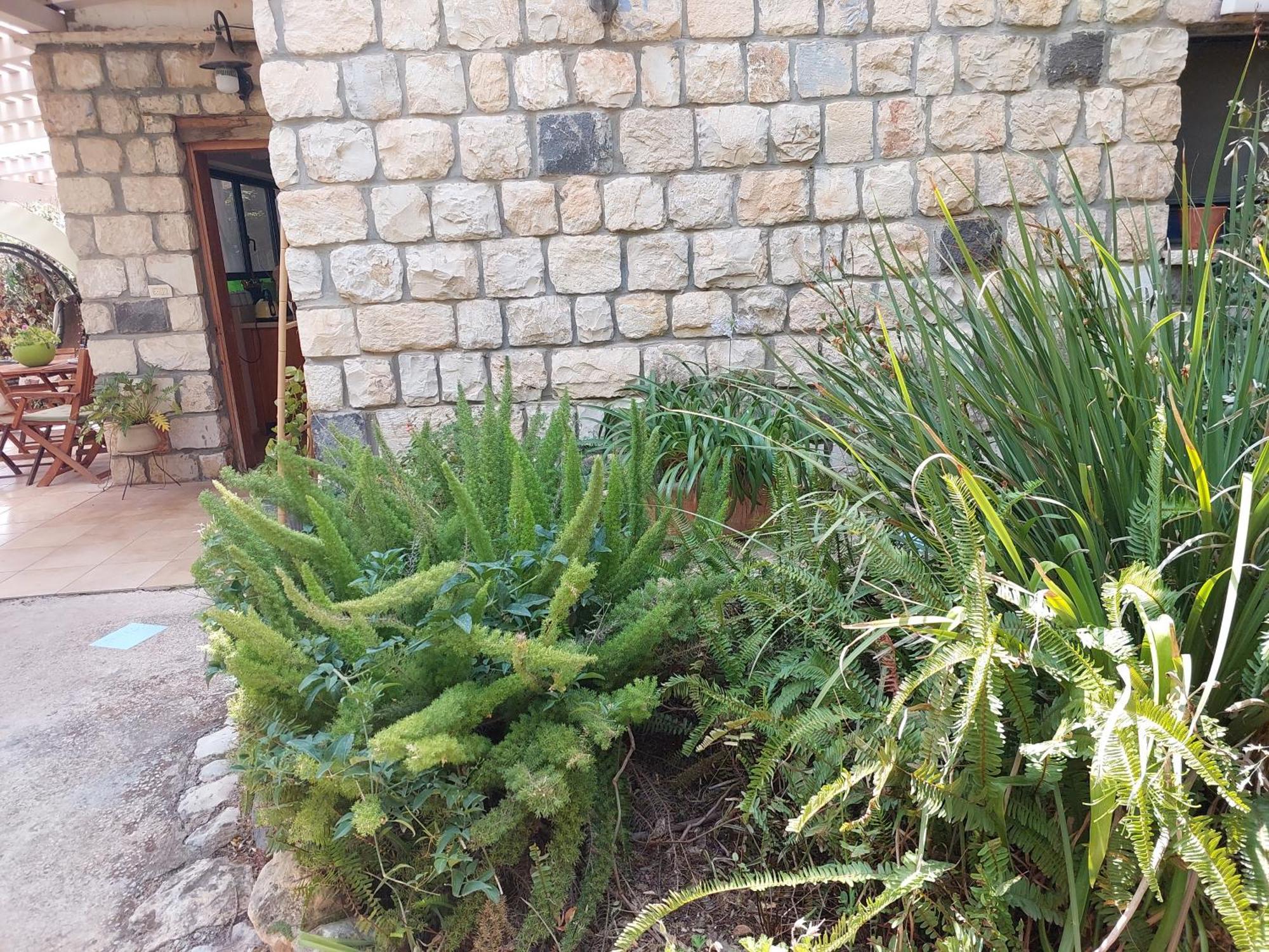 Neve Nof Apartamento Rosh Pinna Quarto foto